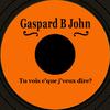 Gaspard B John - L'histoire de la vie