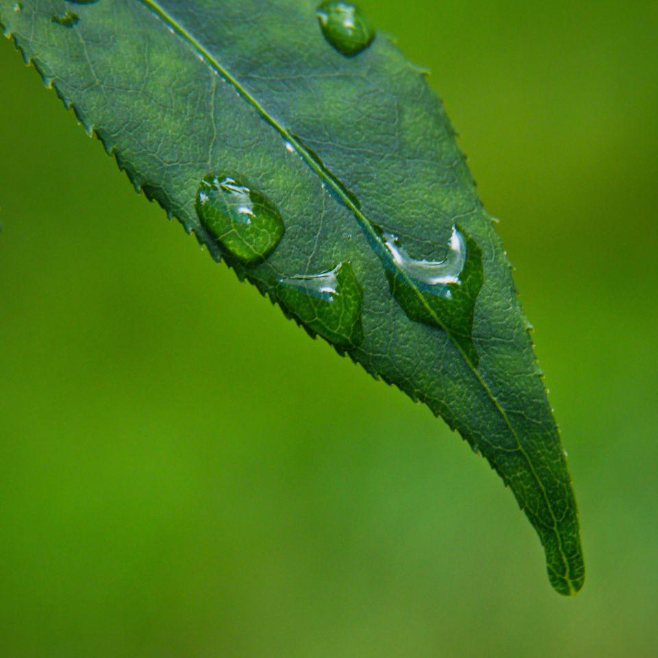 《E8r钢琴曲》谷雨