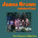 James Brown - Godfather of Soul - The Duluxe Collection专辑