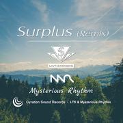 Surplus