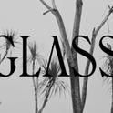 Glass