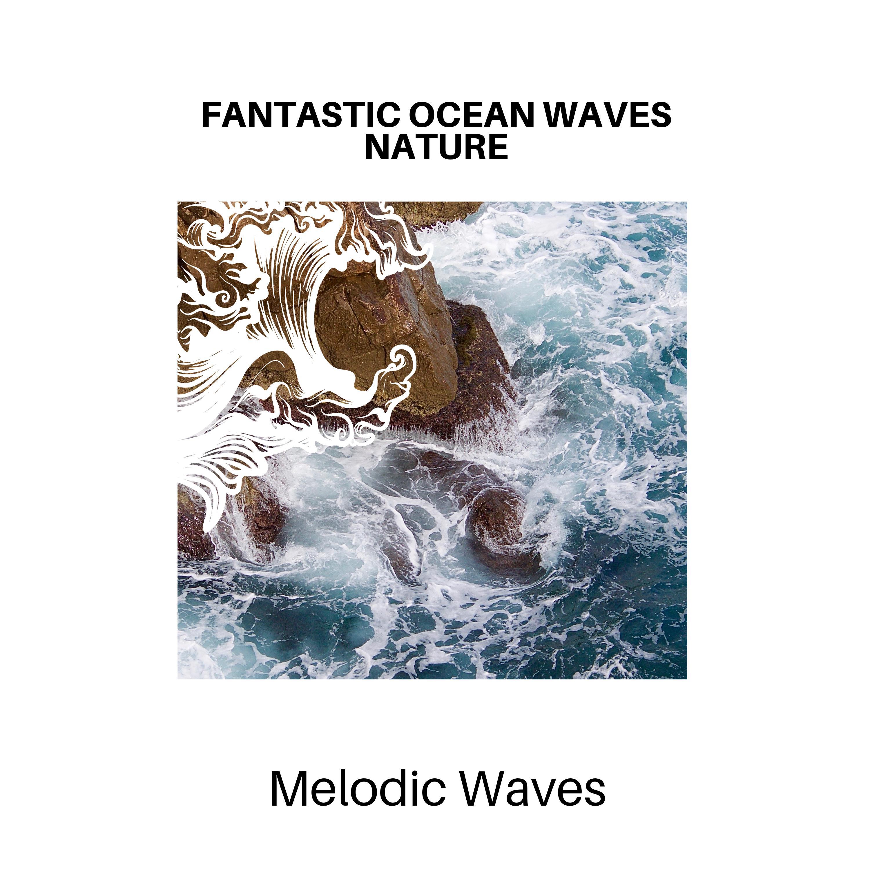 Organic Waves Sound Project - Pacific Steam