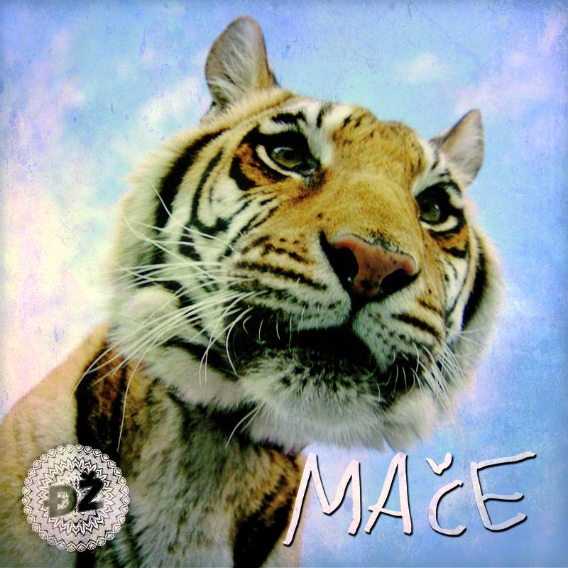 Mače