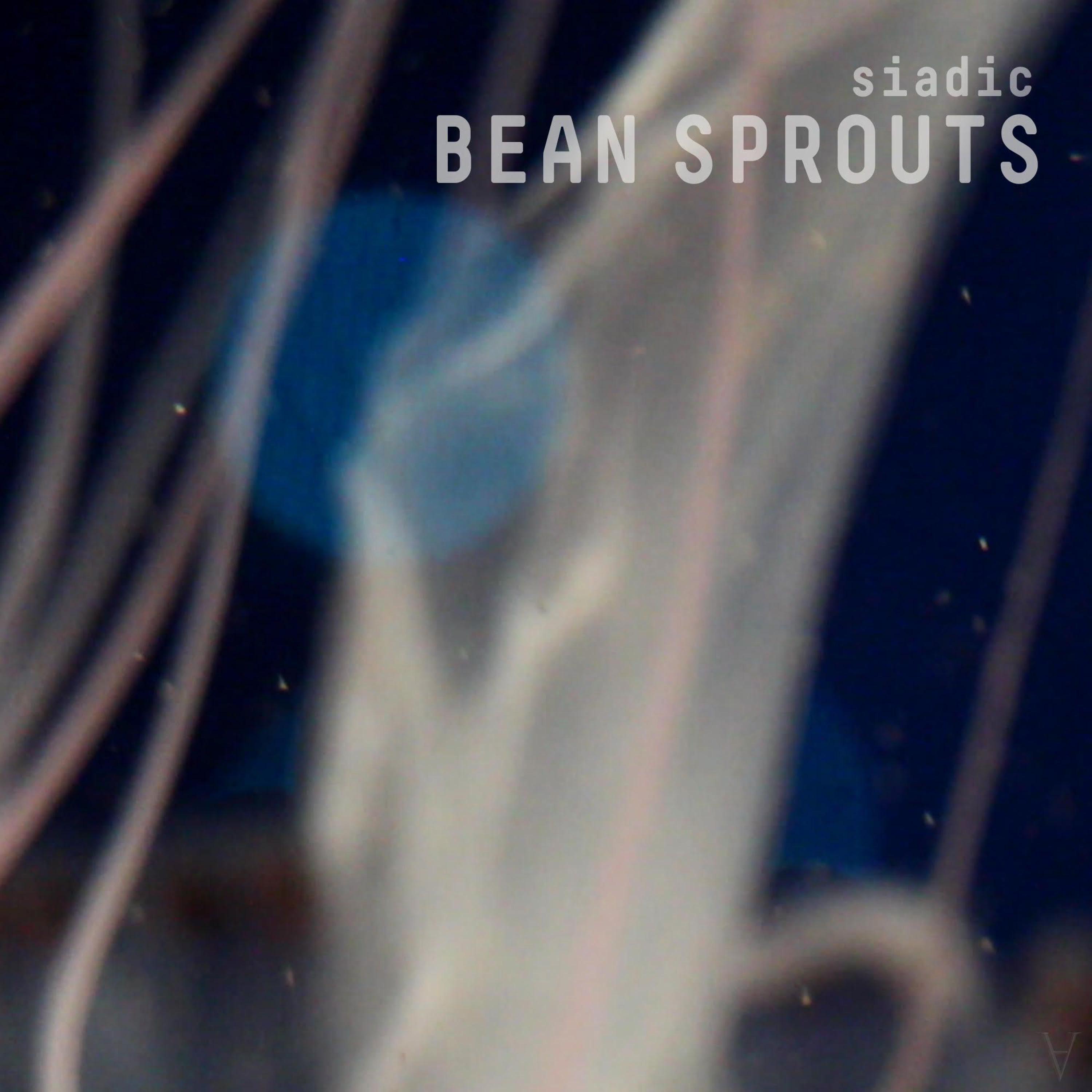SIADIC - Bean Sprouts