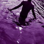 紫色药水专辑