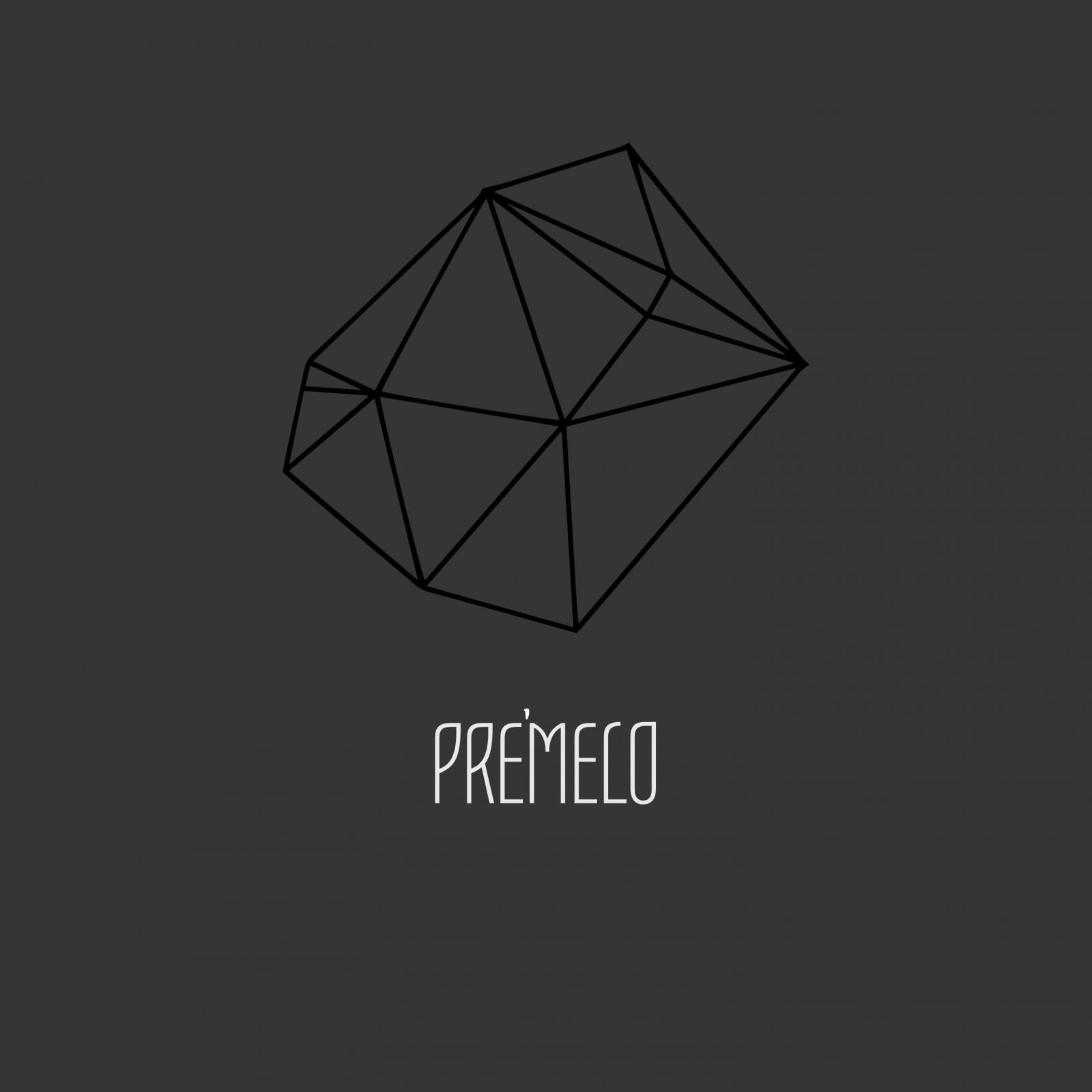 Pre'Melo - 네가 하던 거