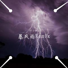 暴风雨Remix