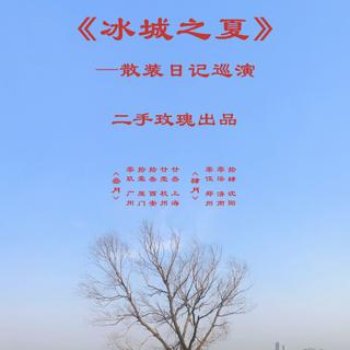 二手玫瑰2022冰城之夏散装日记巡演歌单
