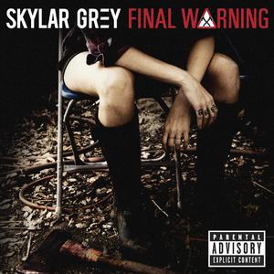 Skylar Grey - Final Warning （降6半音）