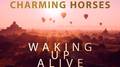 Waking Up Alive (Club Mixes)专辑