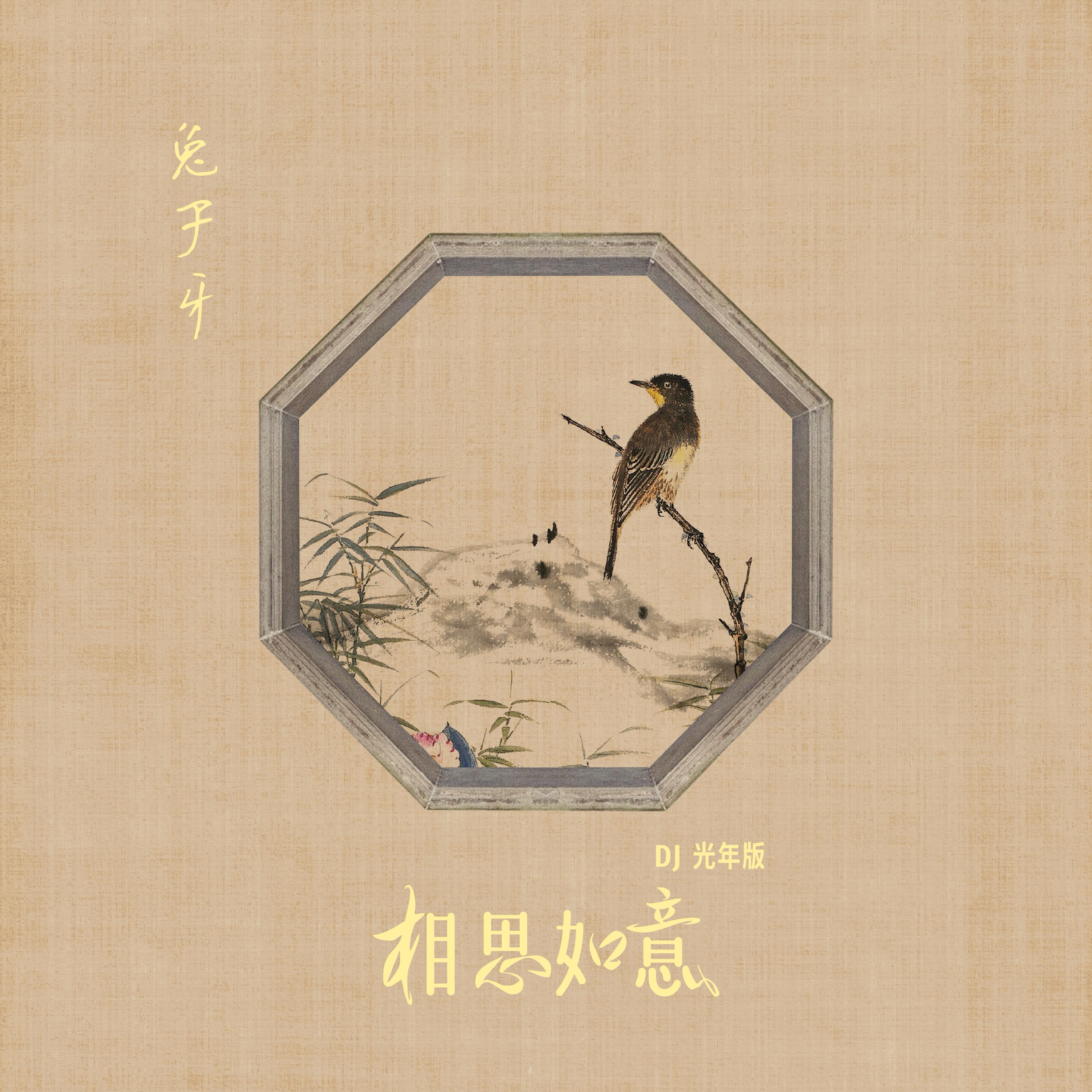 相思如意（DJ光年版）