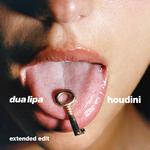 Houdini (Extended Edit)专辑
