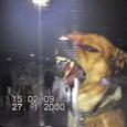 shine wMC Irwin