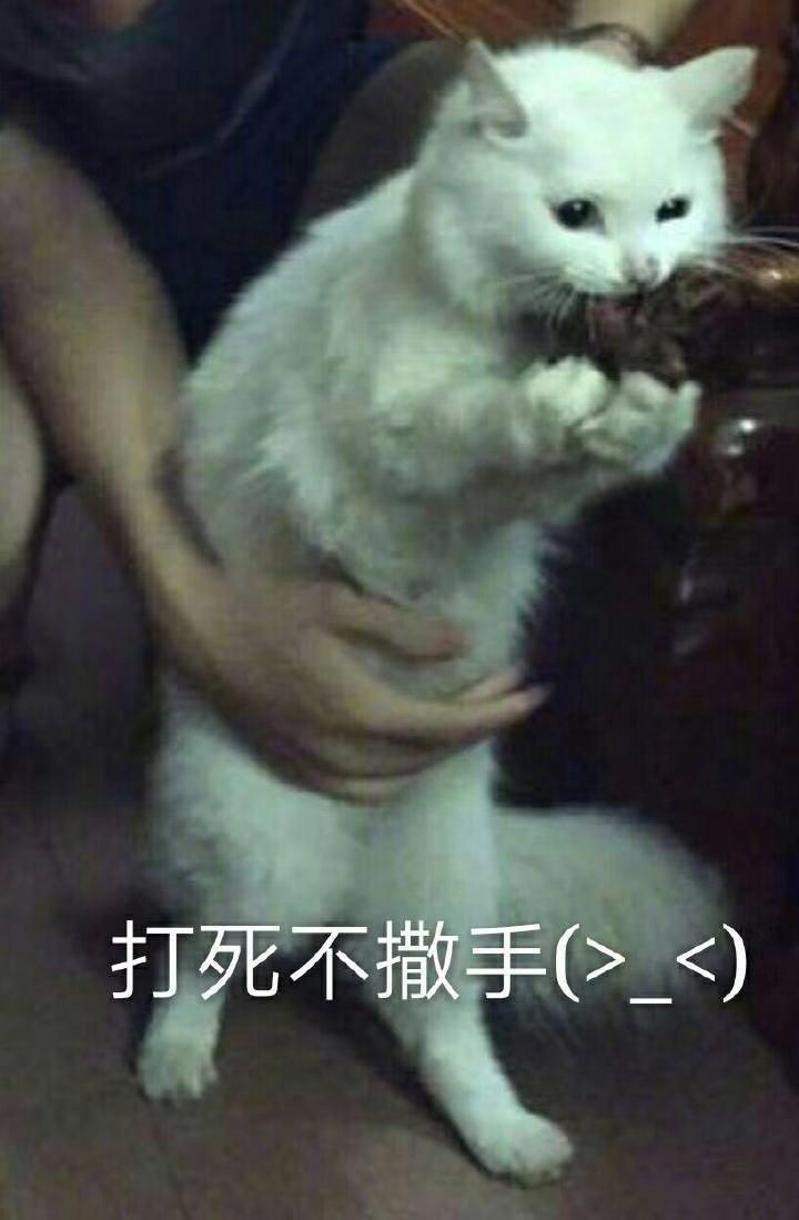 你等我吃完我打死你（Prod.BFCat）