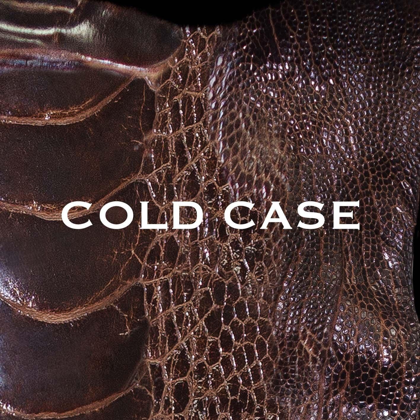 COLD CASE专辑