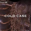 COLD CASE专辑