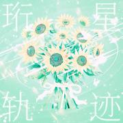 珩星轨迹