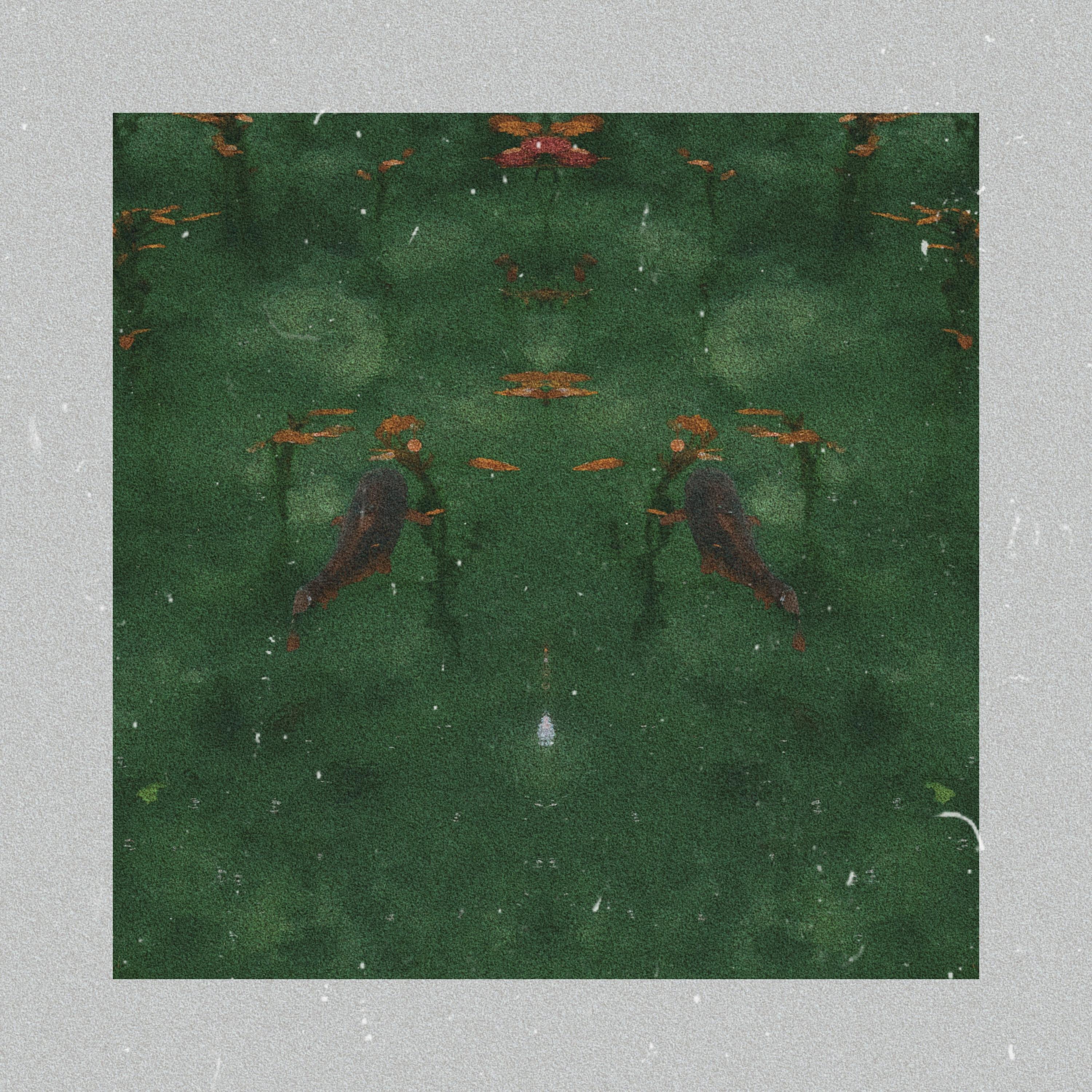 Koi