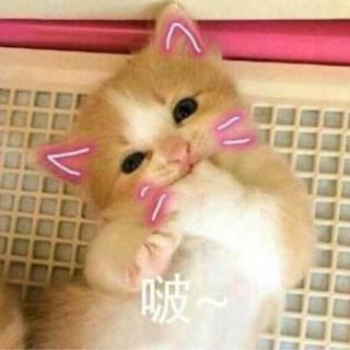 【口红王子】背景音乐bgm甜甜少女心
