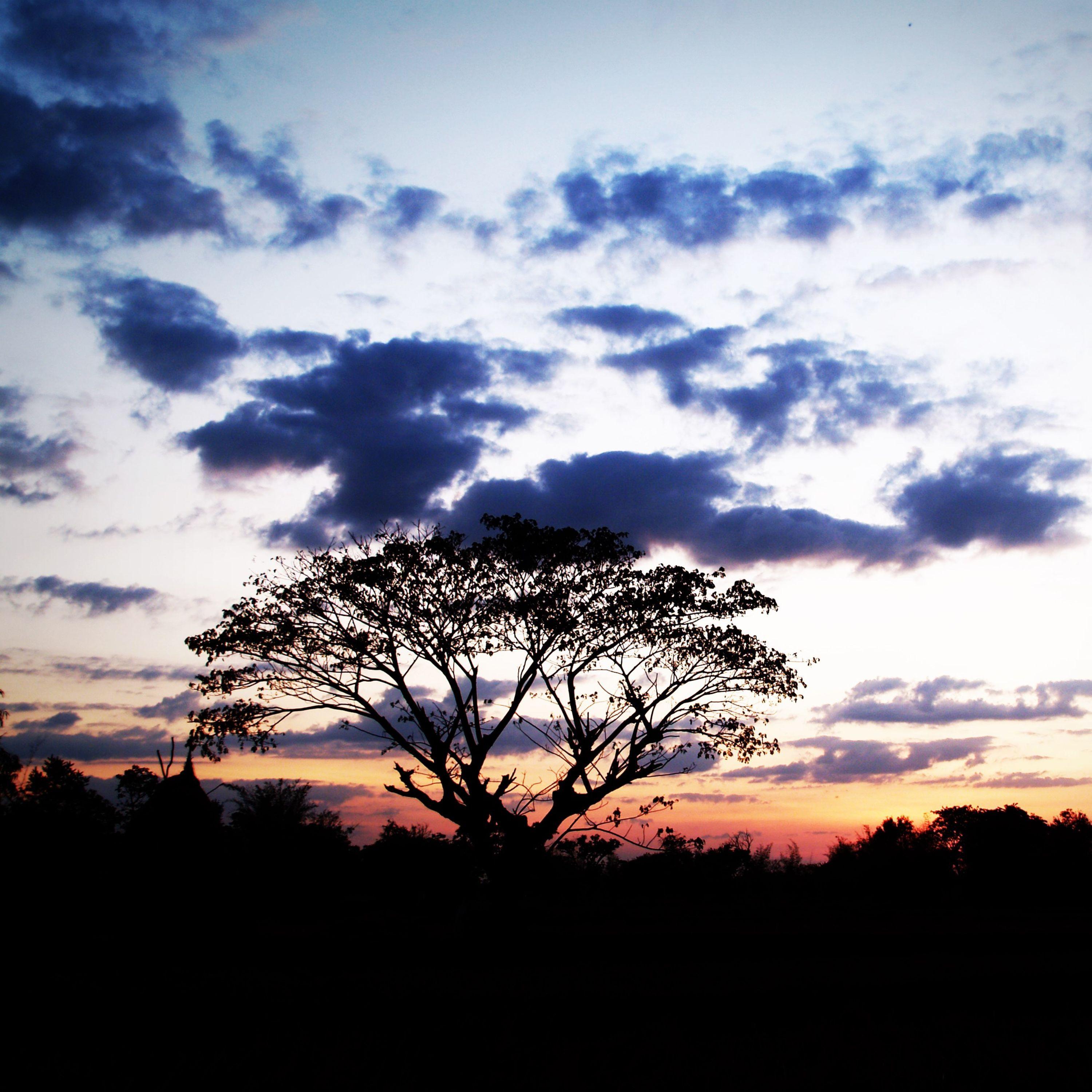 Zen Sounds | Sleep and Serenity