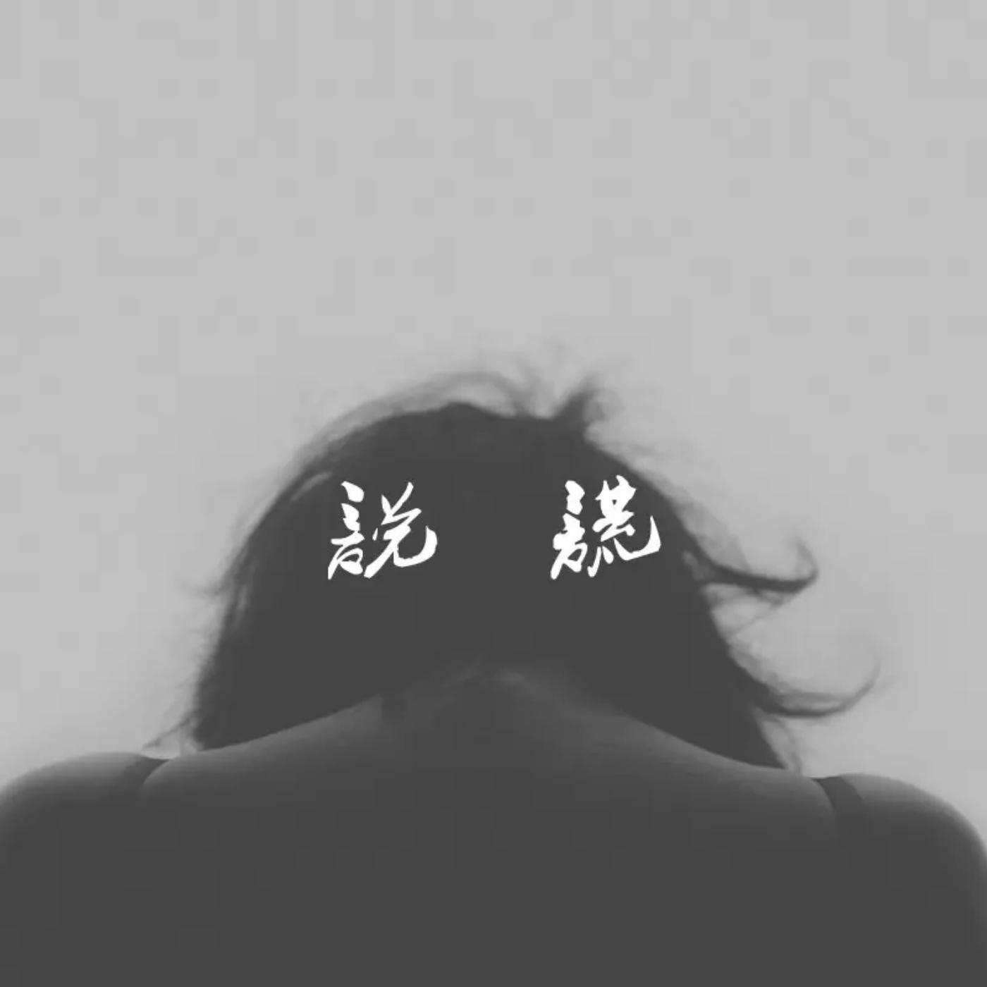 崔铭珈 - 说谎