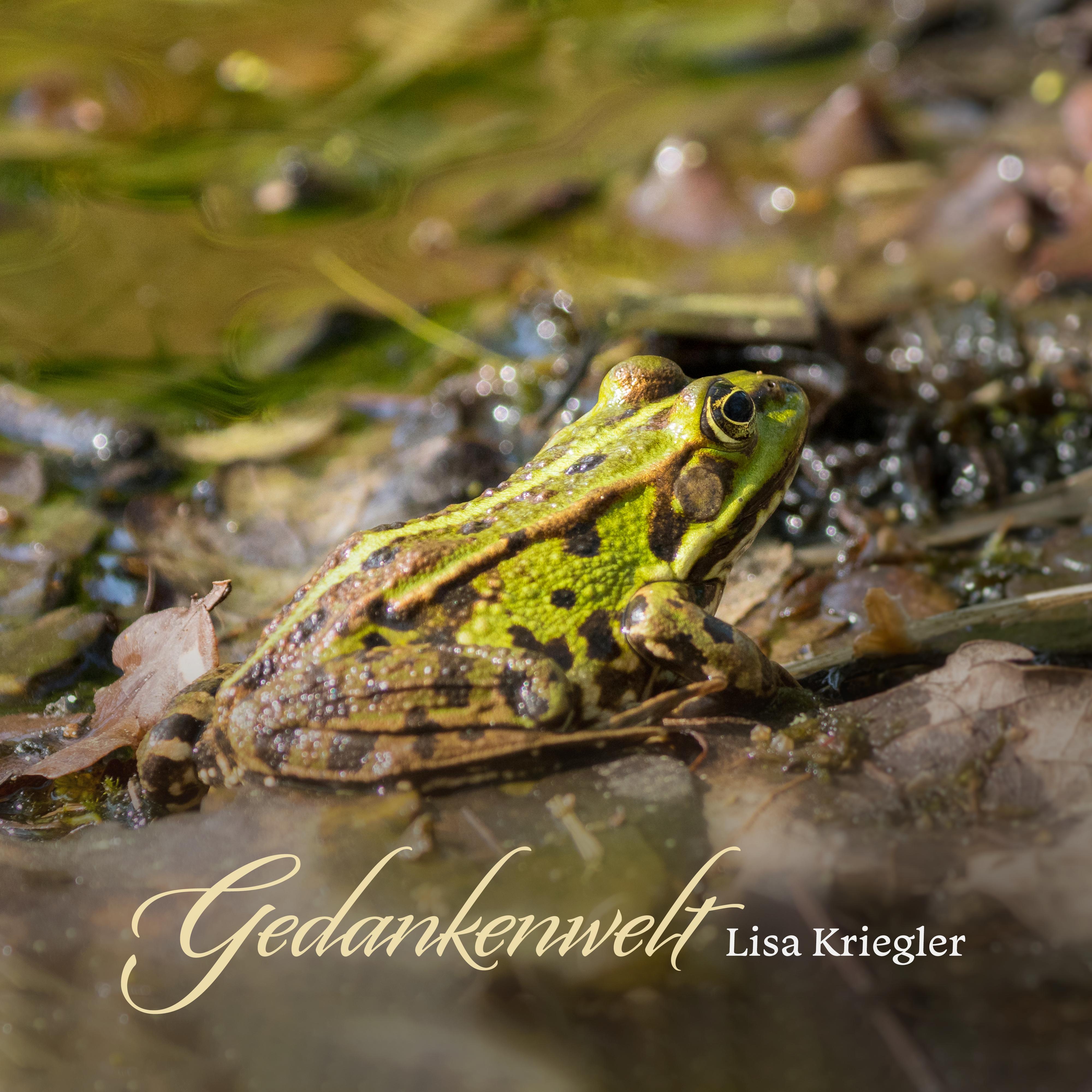 Gedankenwelt
