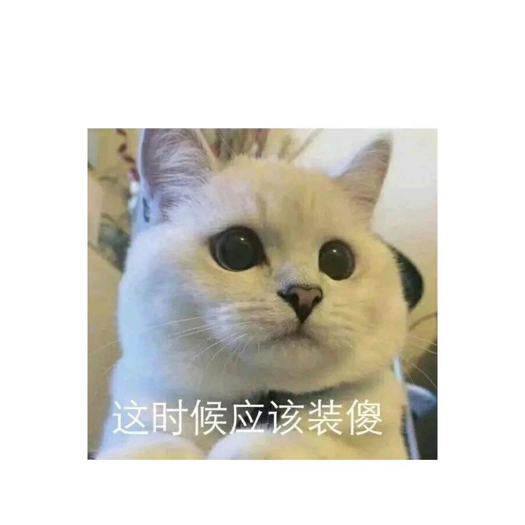 这是温州话
