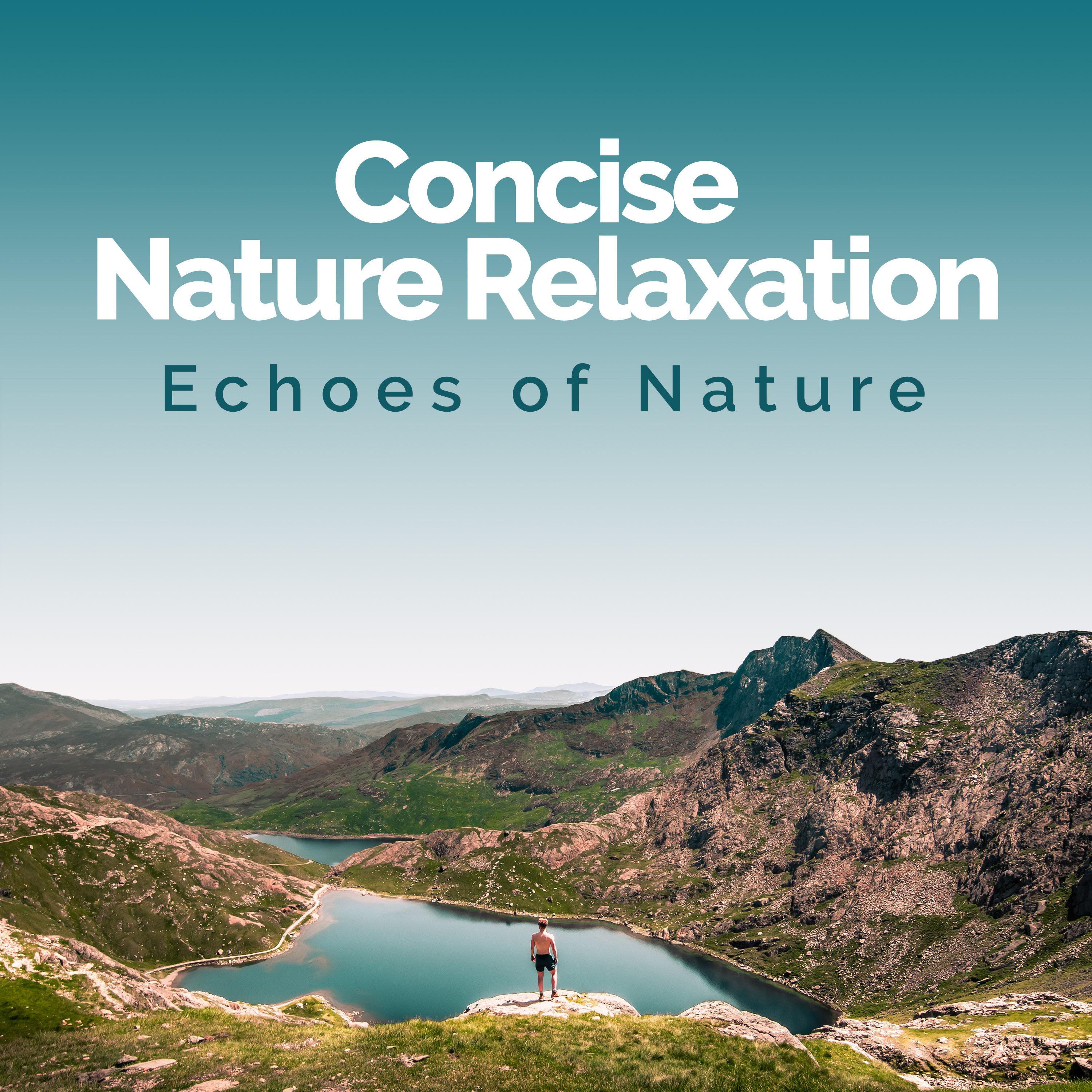 Concise Nature Relaxation