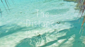 The Distance专辑