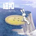 纽扣