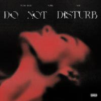 Vory ft NAV & Yung Bleu - Do Not Disturb (Instrumental) 原版无和声伴奏