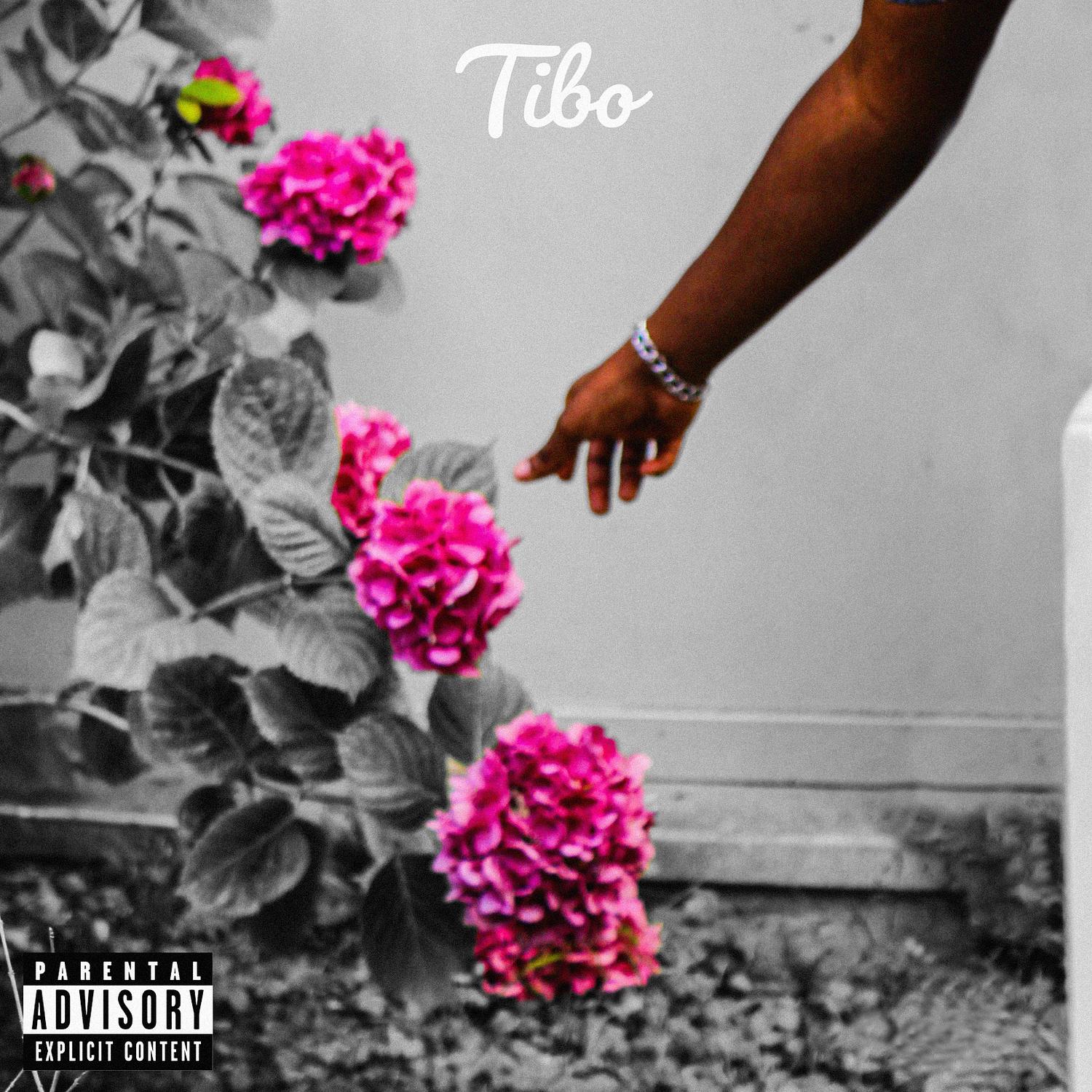 Tibo