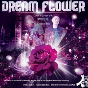 张天顺 - Dream Flower