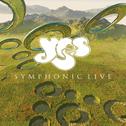 Symphonic Live专辑