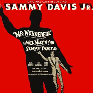 Mr. Wonderful (musical) (Sammy Davis Jr.) - Too Close for Comfort (Karaoke Version) 带和声伴奏 （降4半音）