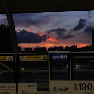 怎样的终点 才配得上这一路的颠沛流离