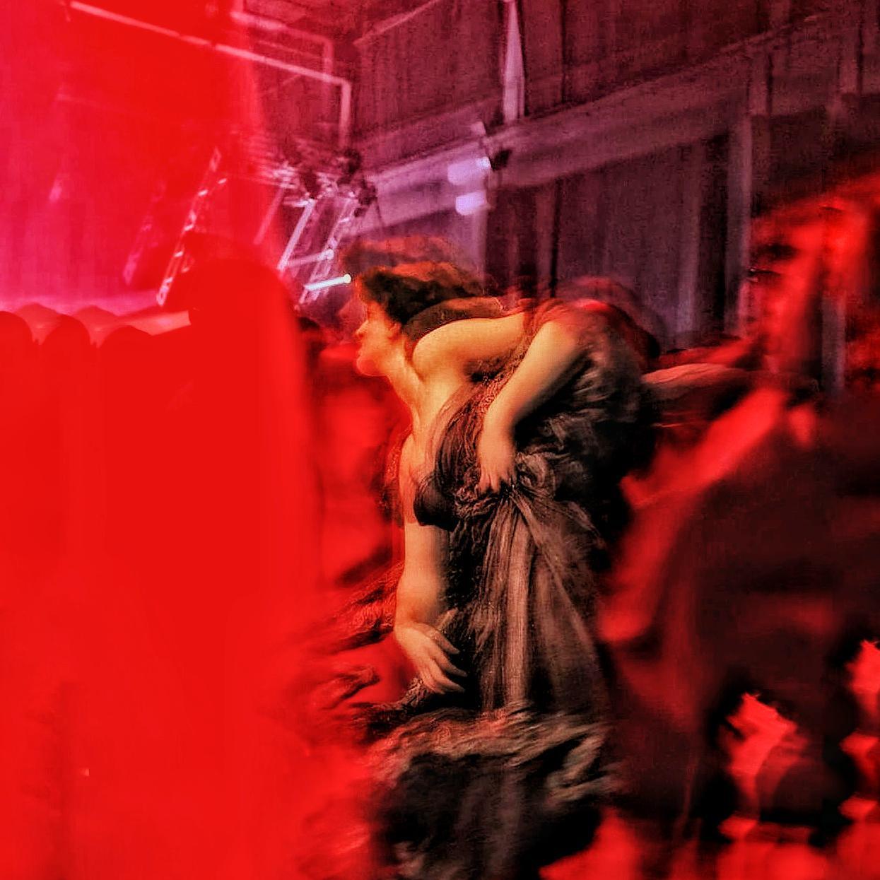 【Free】莱斯特小姐