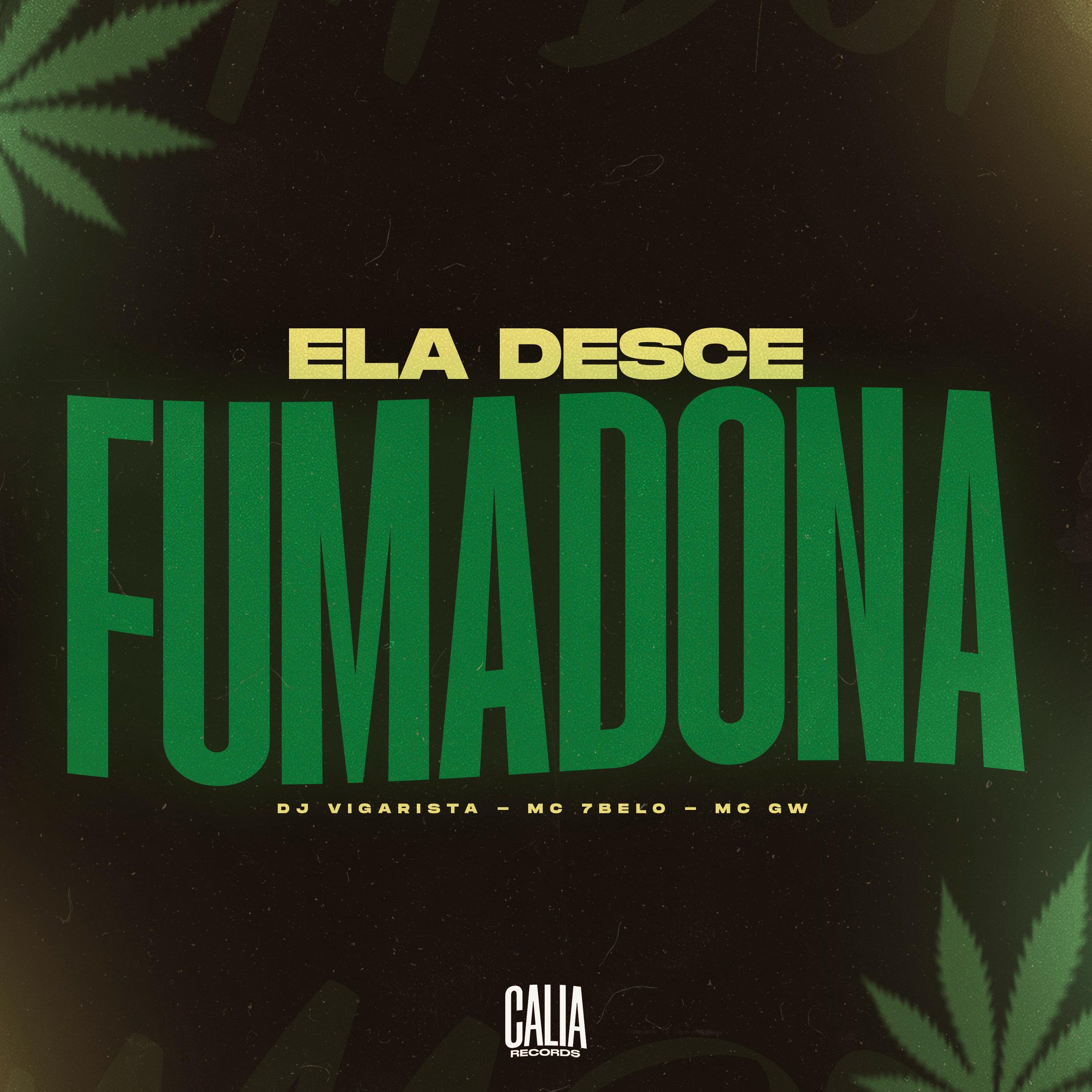 Dj Vigarista - Ela Desce Fumadona