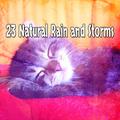 23 Natural Rain and Storms