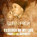 Essence Of My Life (Marcus Garvey Riddim)专辑
