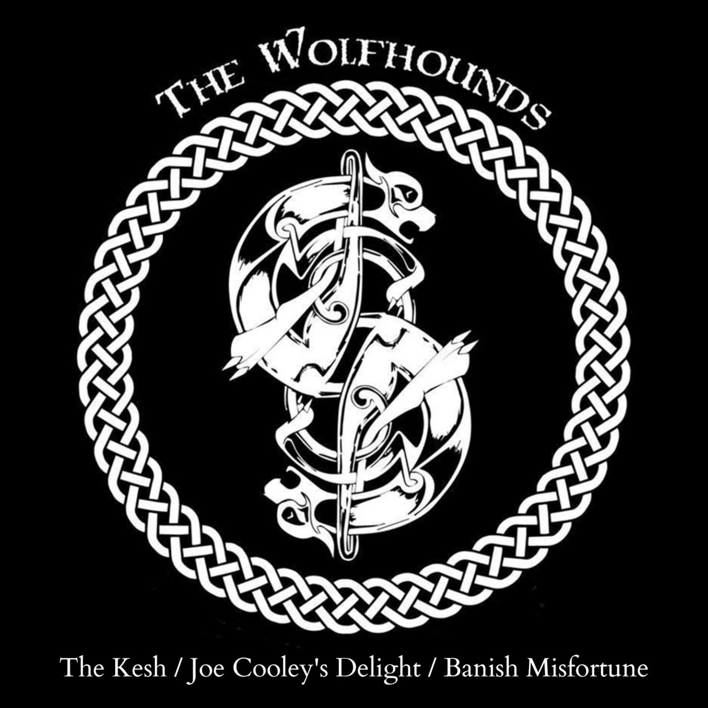 The Kesh / Joe Cooley's Delight / Banish Misfortune