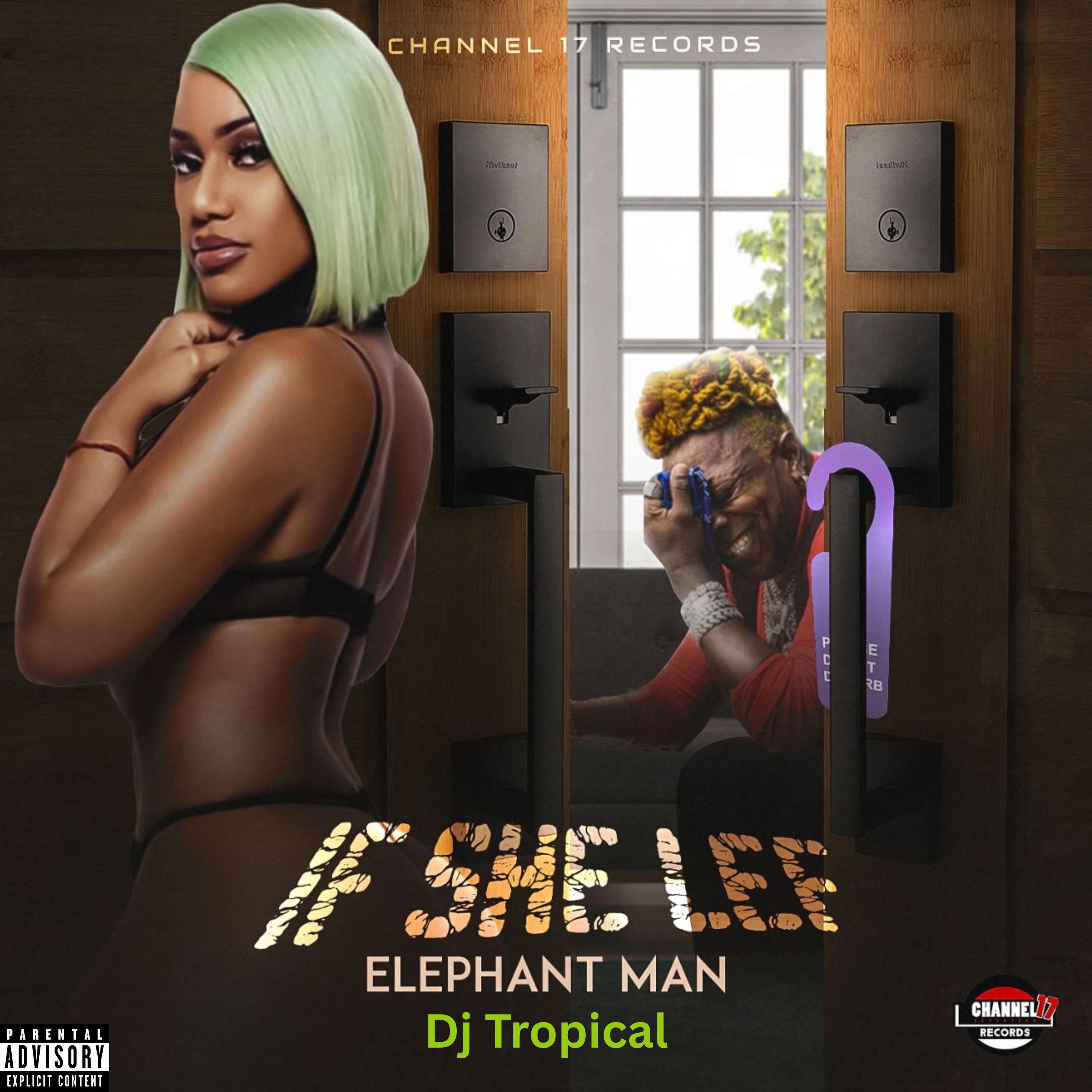 Elephant Man - If She Lef