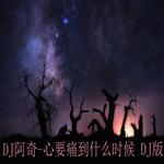 心要痛到什么时候DJ版专辑专辑