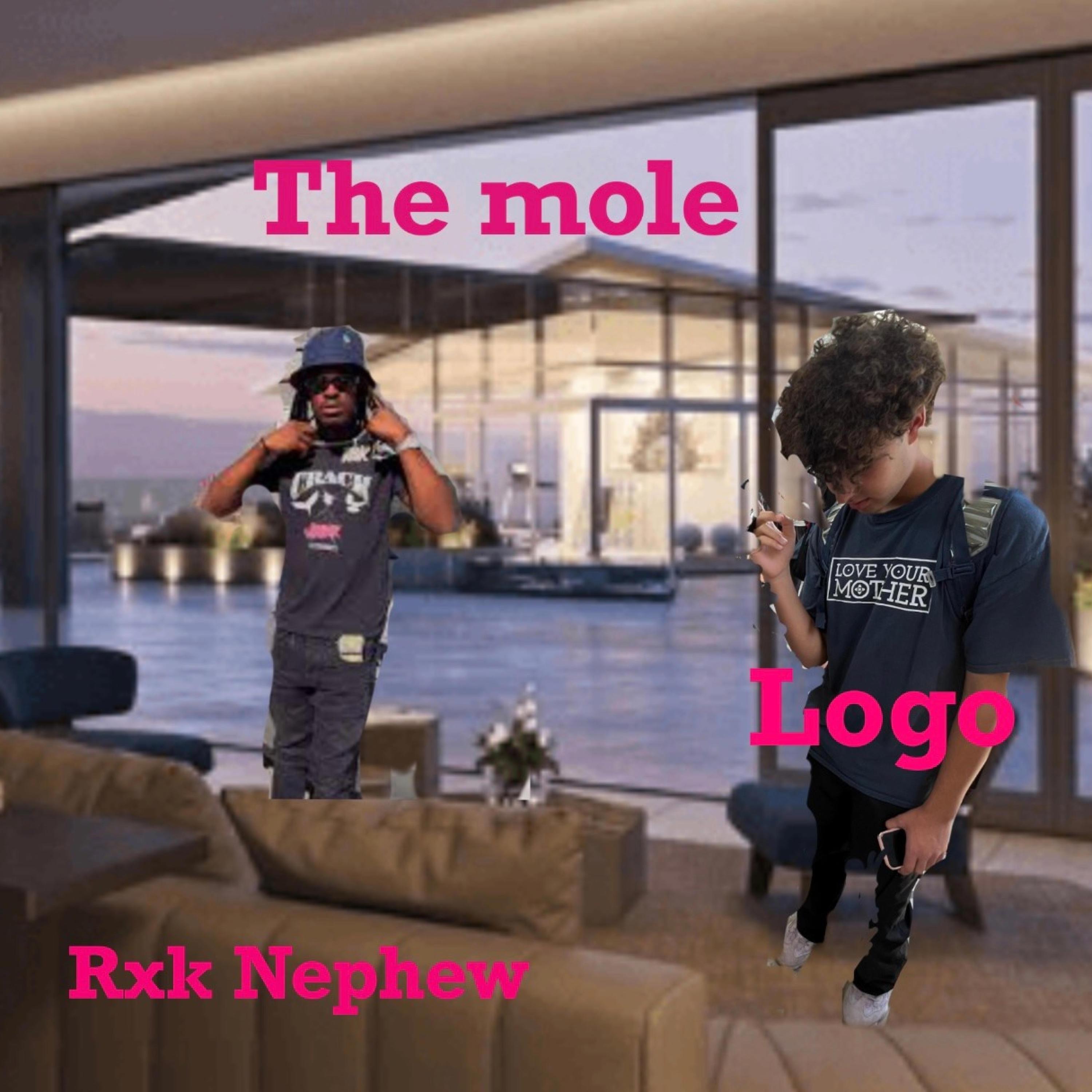 Logo - The Mole (feat. RXKNephew)