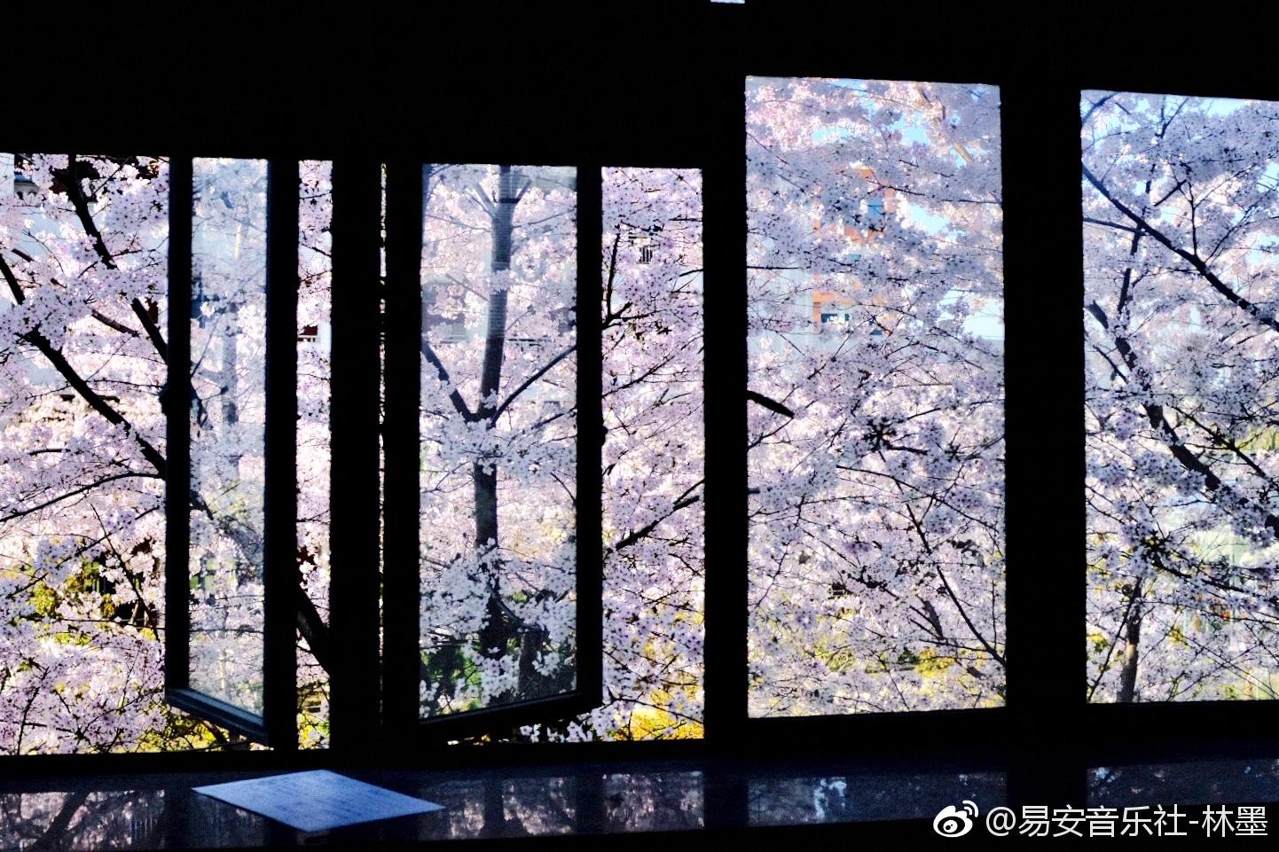 有你の快乐「黄其淋（林墨）」（翻自 Joanna wang）