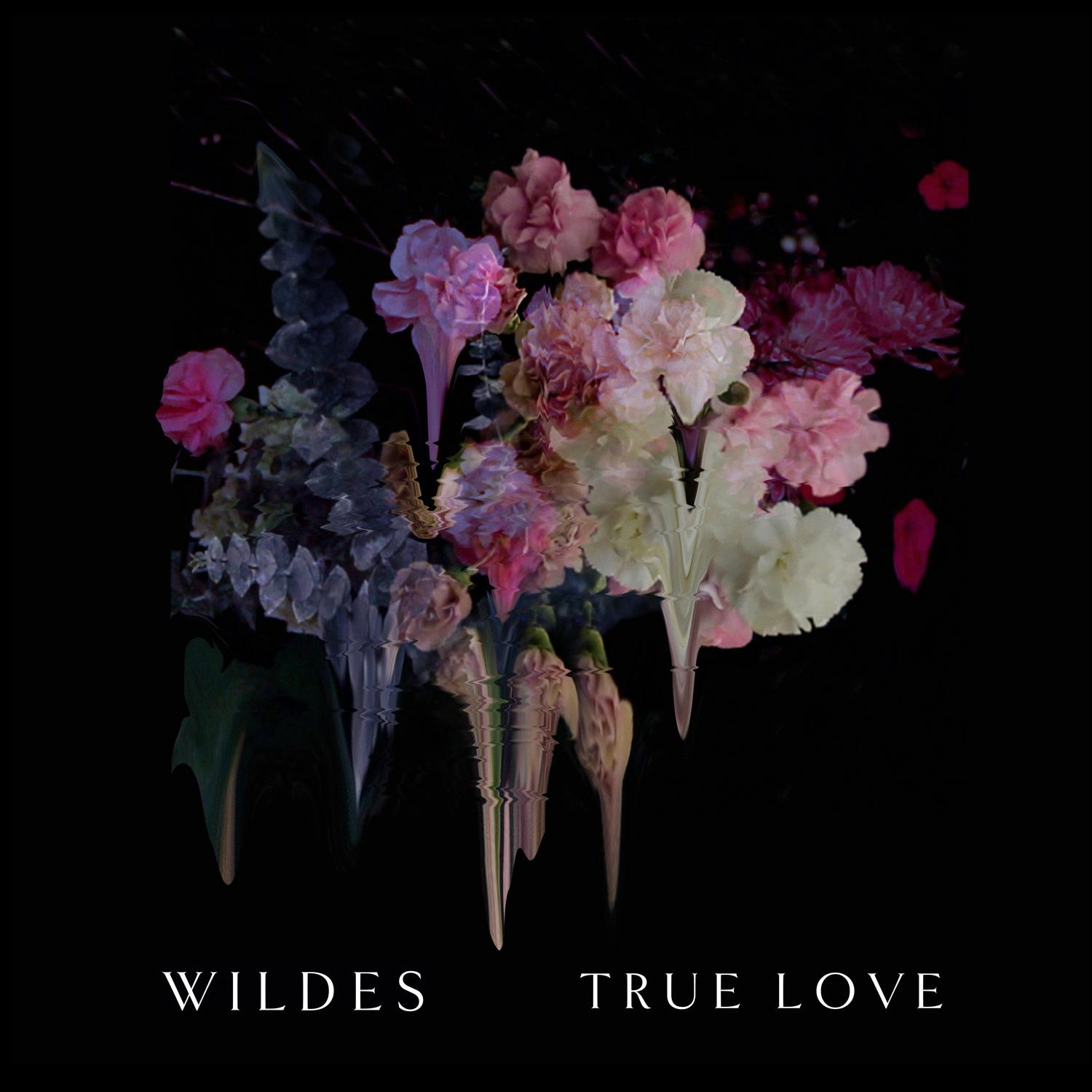 WILDES - True Love