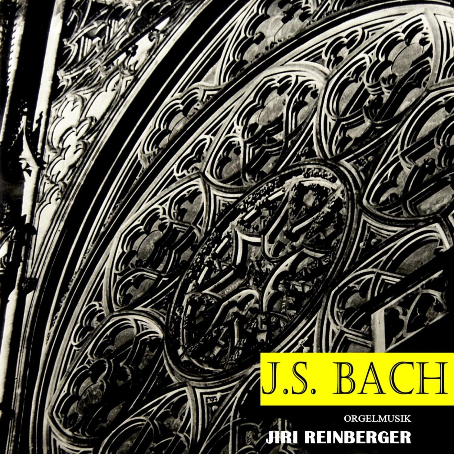 J.S. Bach: Recital