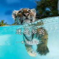 懂你的心