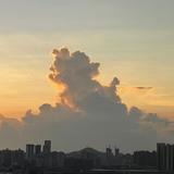 热带汽水
