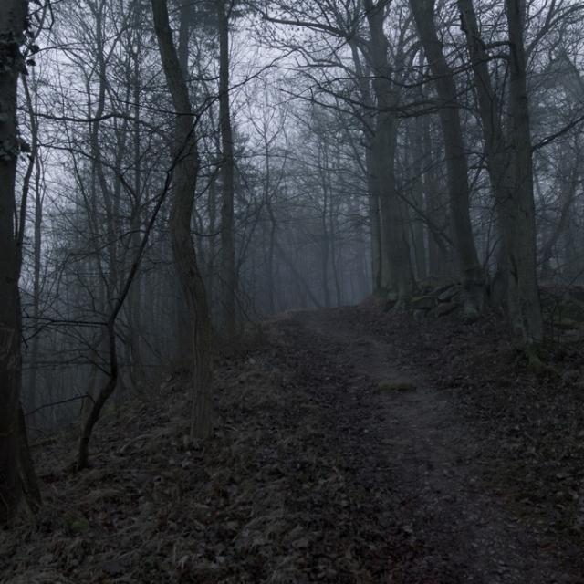 Morkena